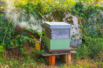 Apiario para la extracción de miel.