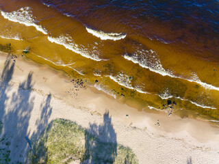 Aerial view of sandy beach of lake on sunny evening in summer