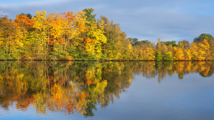 Baum mit Laub bunt und Spiegelung am Wasser im Herbst