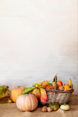 Pumpkins and basket of autumn fruits on wooden table against white wooden background