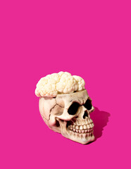 Skull with cauliflower brain against vivid pink background. Santa Muerte or Halloween concept. Minimal modern composition.