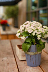 A bouquet of flowers in a decorative wooden vase outdoor table decoration