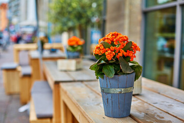 A bouquet of flowers in a decorative wooden vase outdoor table decoration