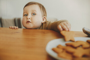 Cute little girl grabbing freshly baked gingerbread cookie on wooden table close up. Authentic...