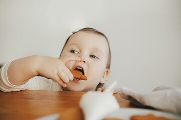 Cute little girl eating freshly baked gingerbread cookie close up. Authentic lovely moment, holiday preparations. Adorable funny toddler tasting christmas cookies from table