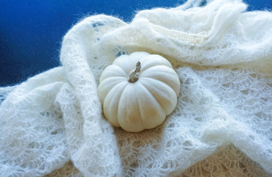 A ghost pumpkin and soft, white woolen shawl symbolize fall, autumn and the pleasure of warm, cozy comfort in this cool season.