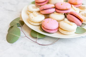 Pink and white macarons lie on a plate. Delicious cookies on a plate on a light background. Bakery
