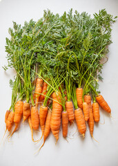 bunch of carrots