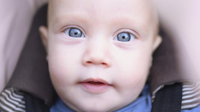 cute nice blue eyed caucasian baby infant fastened with black seatbelts in brown kid carriage. close-up portrait of little child in stroller looks straight into camera and opening mouth showing tongue