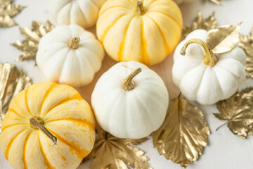 Sweet mini pumpkins and golden autumn leaves on a leaf-shaped blanket. Thanksgiving day decor.
