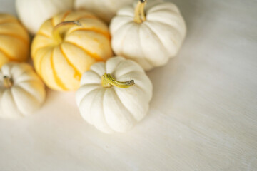 White and yellow mini pumpkins on a white table. Autumn background with copy space.