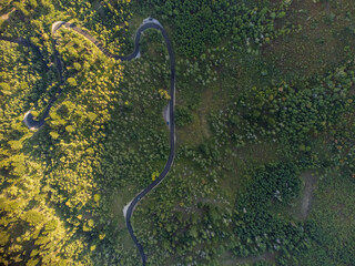 Winding Road