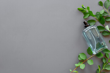 Agar wood tree with arabian oud oil perfume