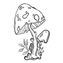 children's coloring. coloring book. tattoo. linear art. mushrooms with leaves. magic mushrooms.