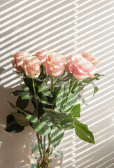 A bouquet of pink roses, the shadow of the blinds on a white background .