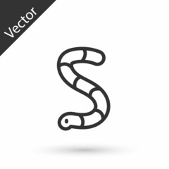 Grey line Worm icon isolated on white background. Fishing tackle. Vector
