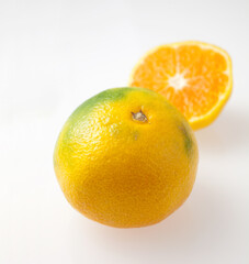 　早生みかん　　カット