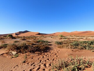 Walking Path into Sand Dune Sea: Hike to Deadvlei, Namibia
