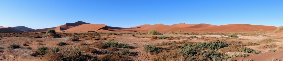 Panorama Walking Path into Sand Dune Sea: Hike to Deadvlei, Namibia