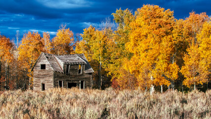 old house in autumn grand Tetons