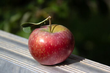 Red apple on a ladder