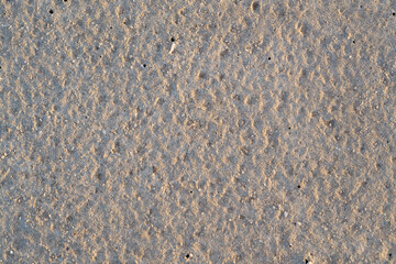cement background textured