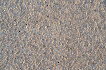 textured cement background