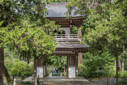 Japanese temple in the midst of nature