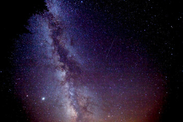 Images of the Persaids in the night sky over a Provincial Park in Ontario.