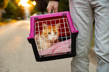 Closeup shot, man carrying cat in transporter on the street , going to vet's office 