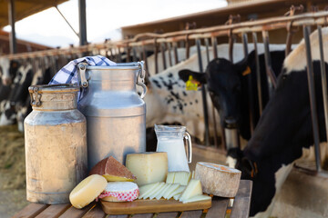 Fototapeta na wymiar Image of fresh delicious farm dairy production laid out on the table the background with cows