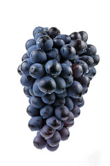Grapes in white background