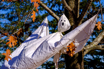 White sheet ghost decoration for Halloween in a tree