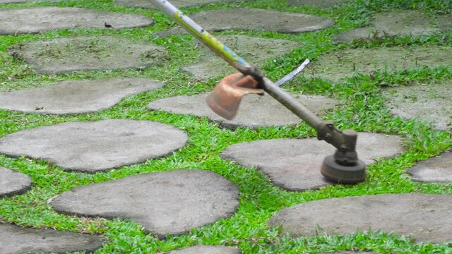 Gardner trimming the excess grass between the cement interlocks blocks using a brushcutter. Close-up view from the side slow motion clip.