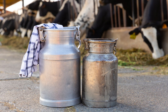 Two aluminum milk cans standing on ground in outdoor cowshed. Healthy organic farm production..