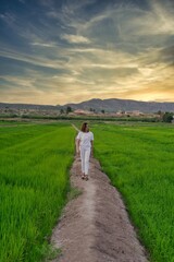 Obraz premium woman cleaning by landscape of rice fields.