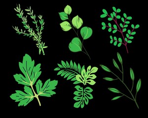 green leaves background