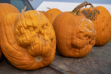 Scary Pumpkins