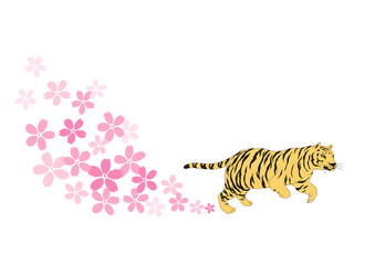 Fototapeta na wymiar 躍動する虎と舞い上がる桜のイラスト