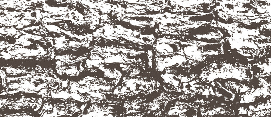 Texture of a pine tree bark - obrazy, fototapety, plakaty