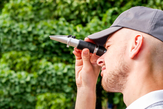 the winemaker looks at the refractometer to determine the sugar content of grape juice