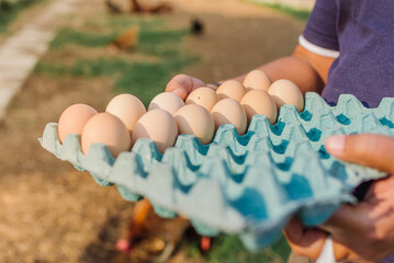 Homem segurando pente de ovos caipira