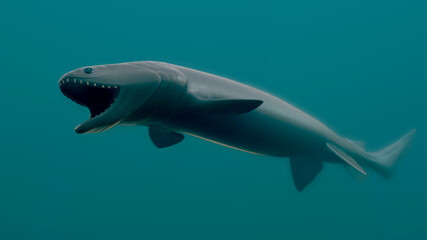 Obraz premium Frilled Shark 3D Rendered