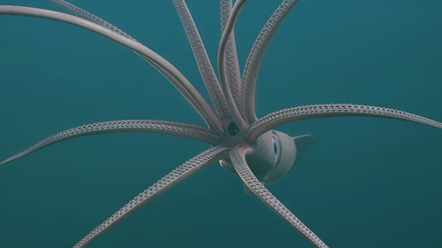 Giant Squid 3D Rendered