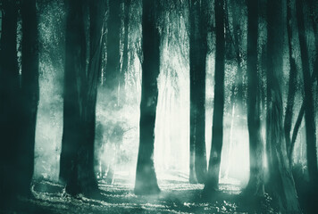 Scary forest with thick mist at twilight