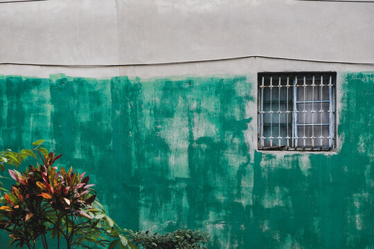 old building with the green wall - Taipei, Taiwan