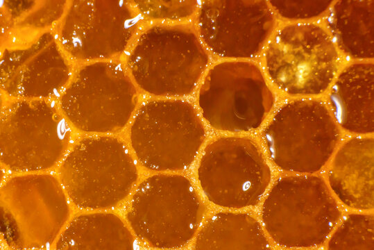  Amber sweet honey in honeycomb. Transparent honey flows down the honeycomb