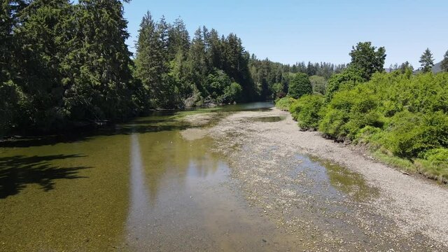 Drone shot of flying low and quickly over quiet creek on an early summer day in Sooke, British Columbia. Lush green bushland next to river and high dark trees on the other side.