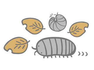 かわいいダンゴムシと枯れ葉のセット／手書きイラスト