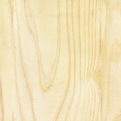 Wood wall texture. Wood background old panels